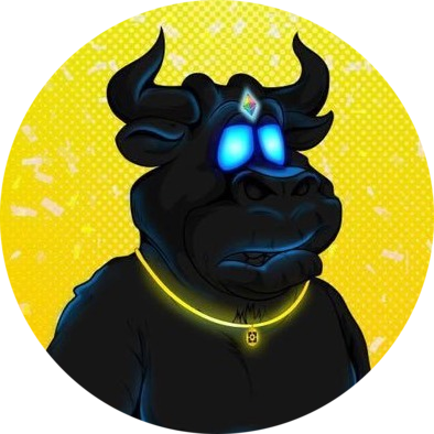 BSCWIN Bulls